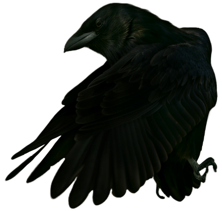 Valtyr-Dark-Fantasy-Crow