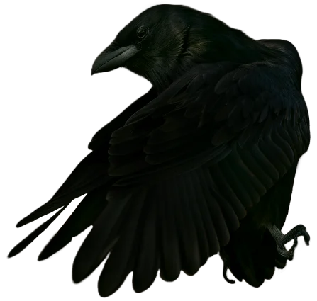 Valtyr - Legend of the Darkelf 2 Valtyr-Dark-Fantasy-Crow